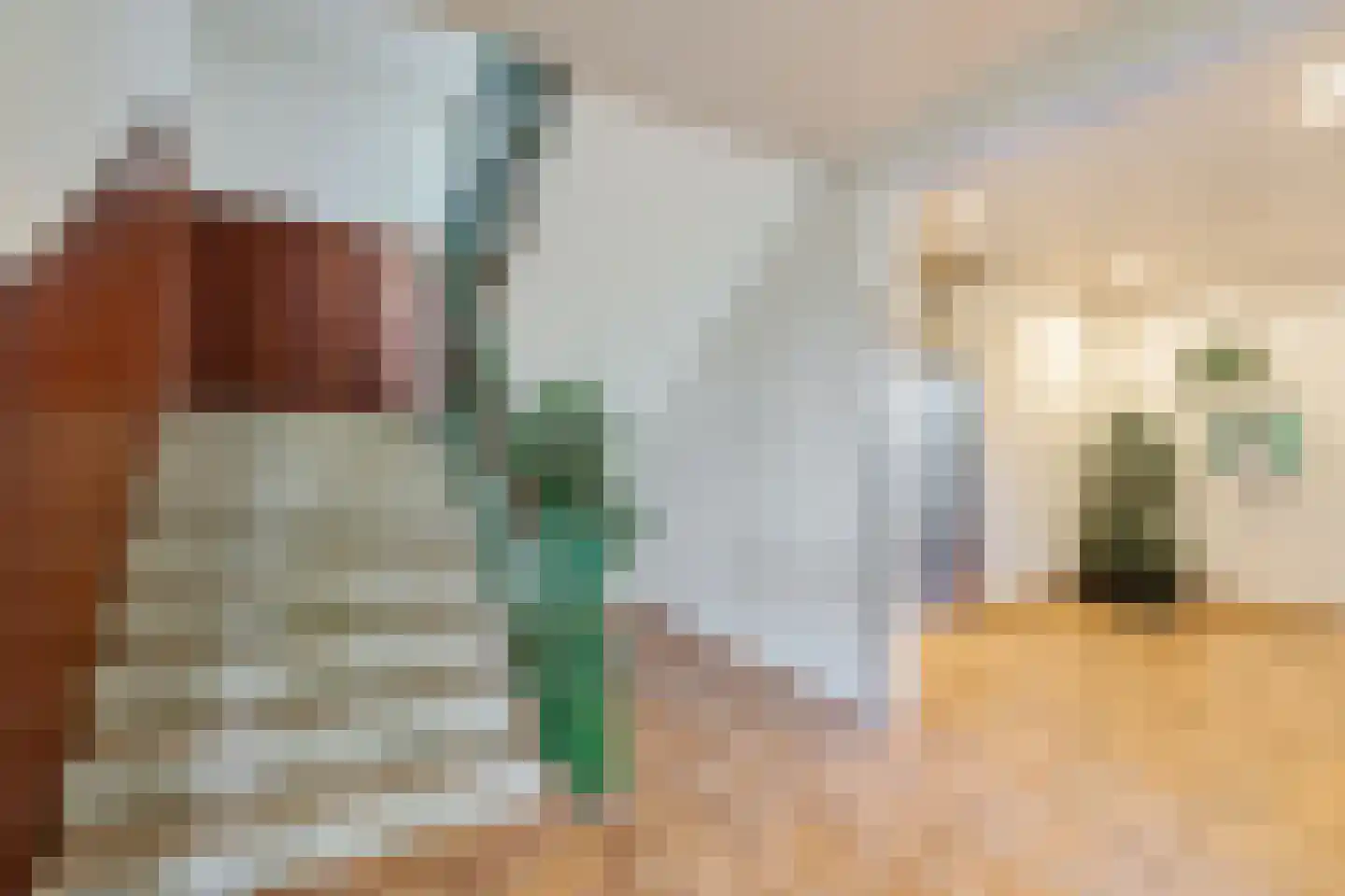 Volendamlaan 793 Den Haag thumbnail 5