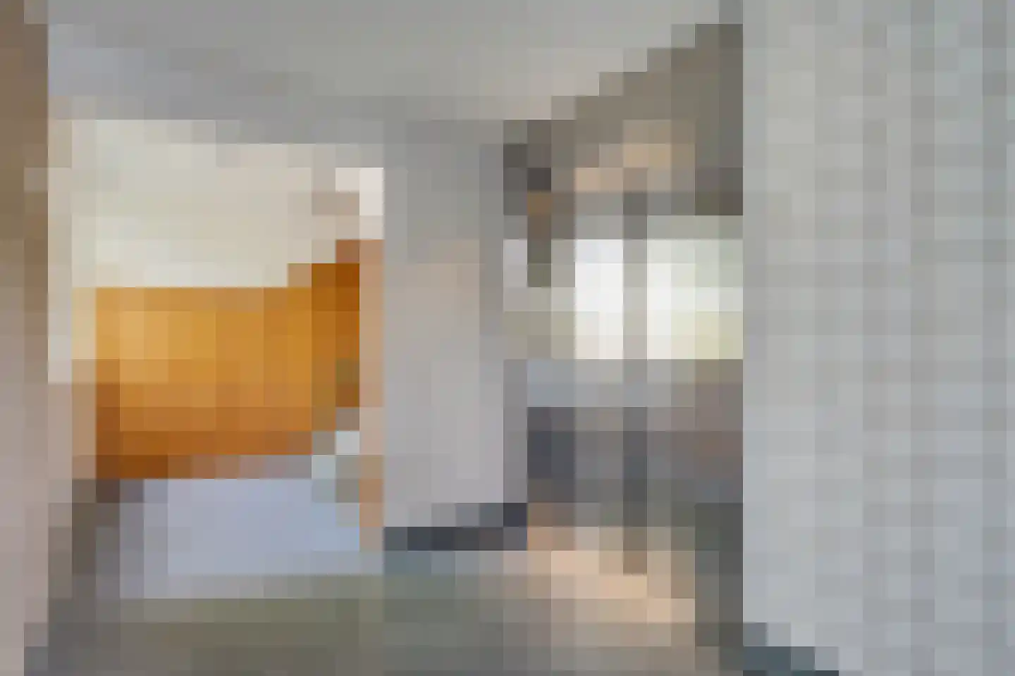 Volendamlaan 793 Den Haag thumbnail 6