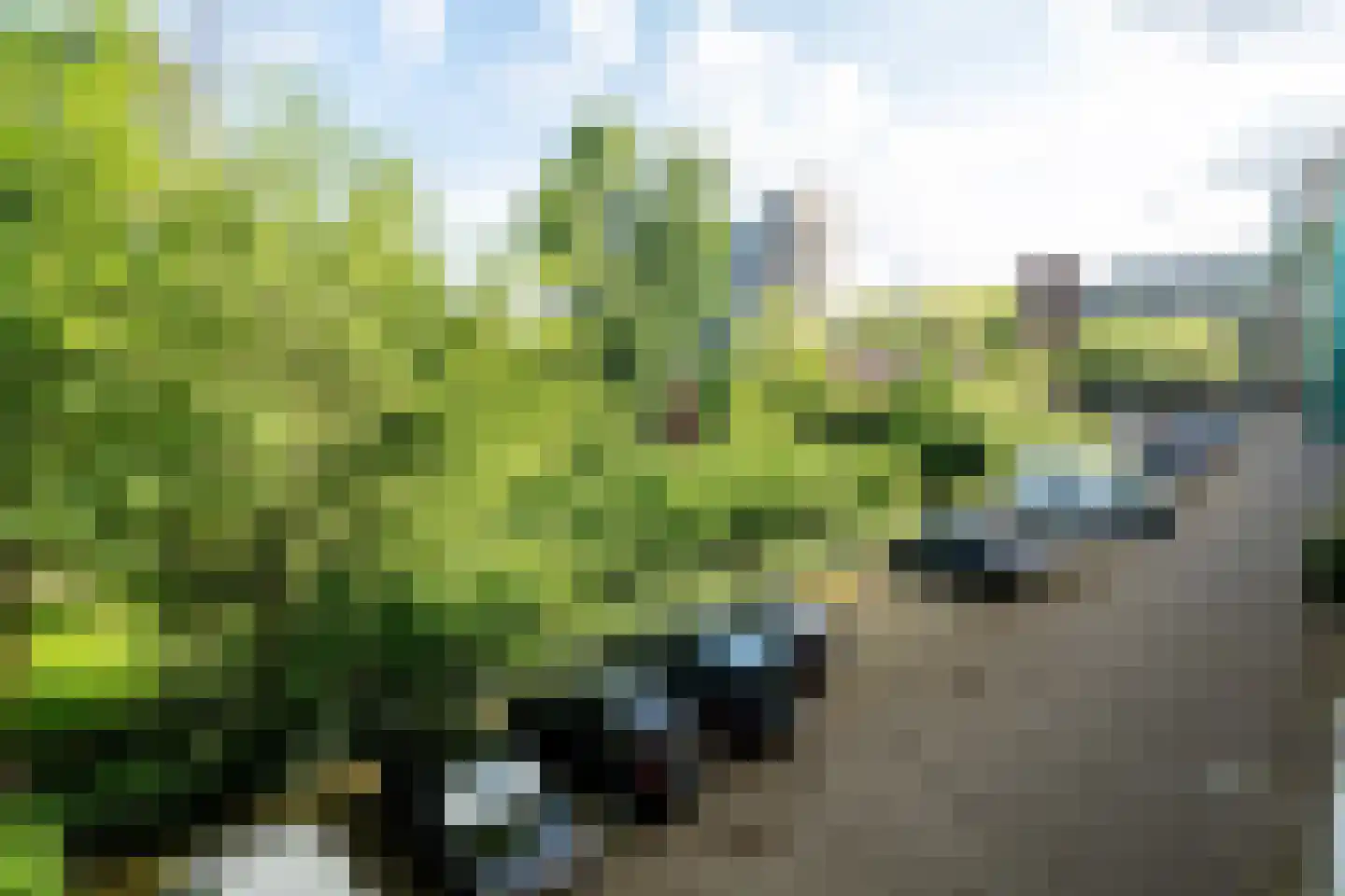 Volendamlaan 793 Den Haag thumbnail 9