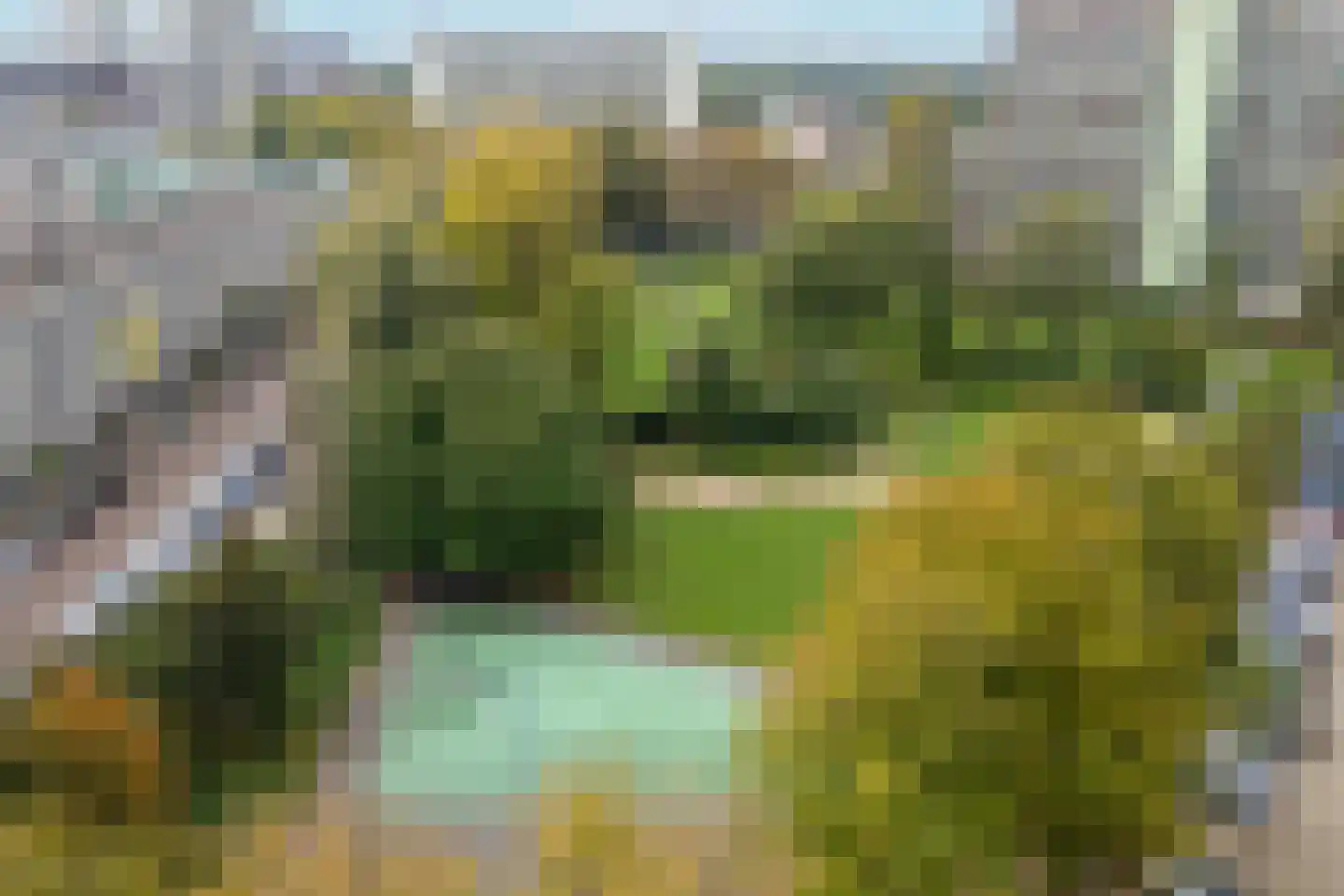 Volendamlaan 794 Den Haag thumbnail 32