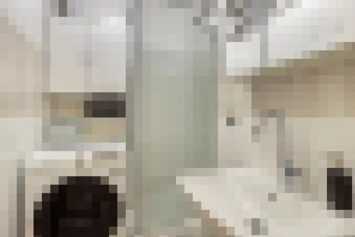 Volendamlaan 797 Den Haag thumbnail 12