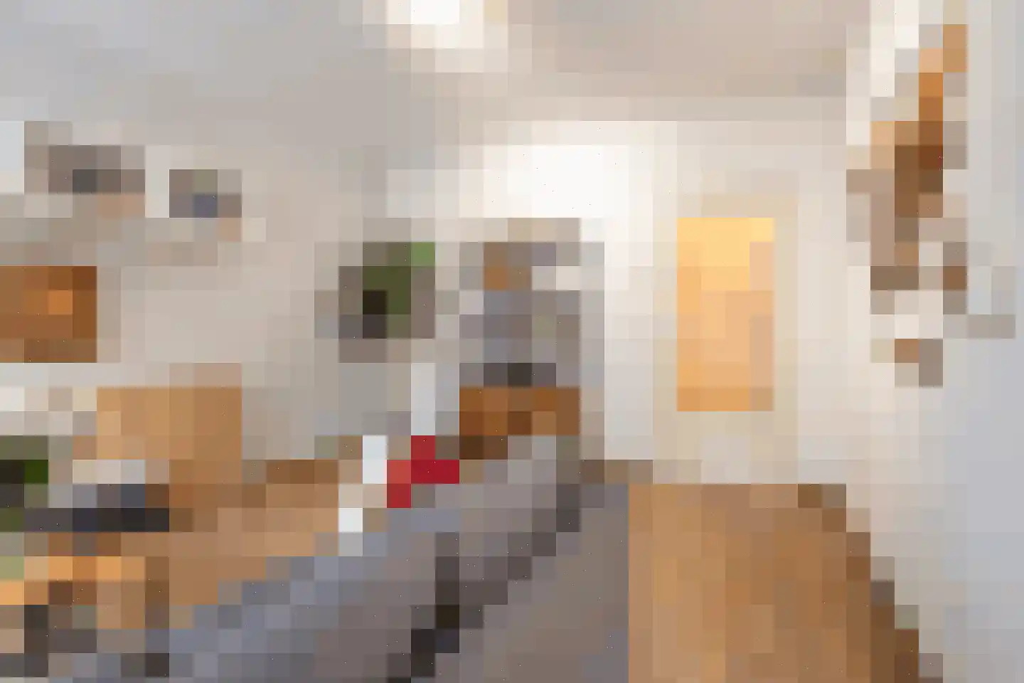 Volendamlaan 797 Den Haag thumbnail 15
