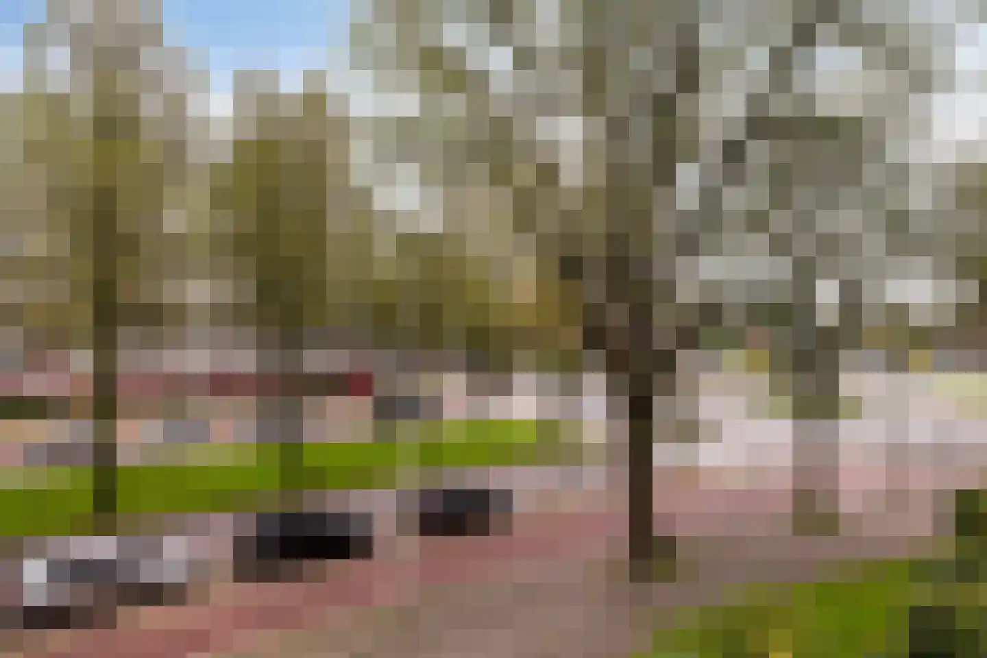 Volendamlaan 797 Den Haag thumbnail 18