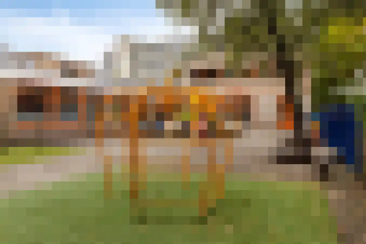 Volendamlaan 797 Den Haag thumbnail 24
