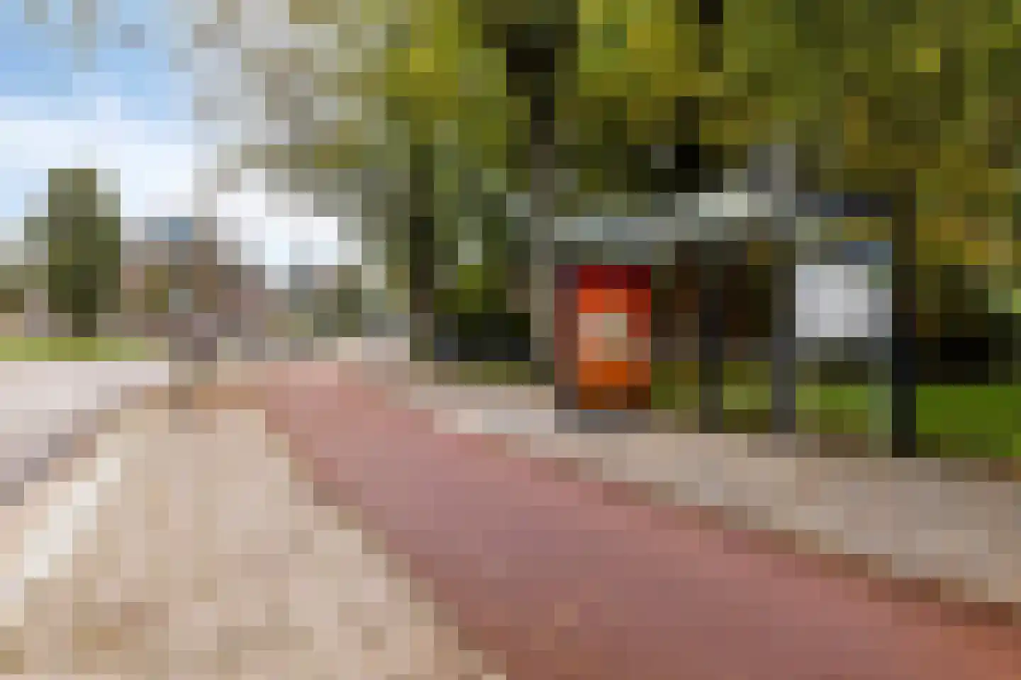 Volendamlaan 797 Den Haag thumbnail 25