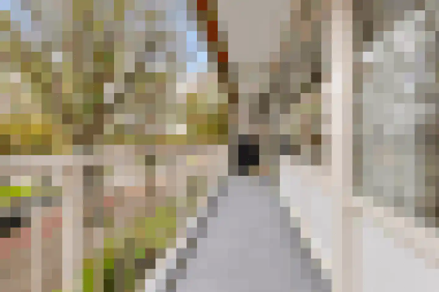 Volendamlaan 797 Den Haag thumbnail 5