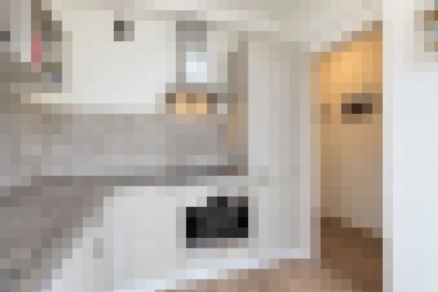 Volendamlaan 811 Den Haag thumbnail 21