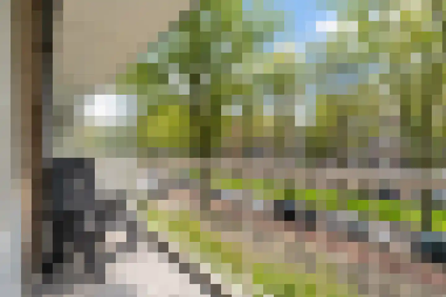 Volendamlaan 811 Den Haag thumbnail 35