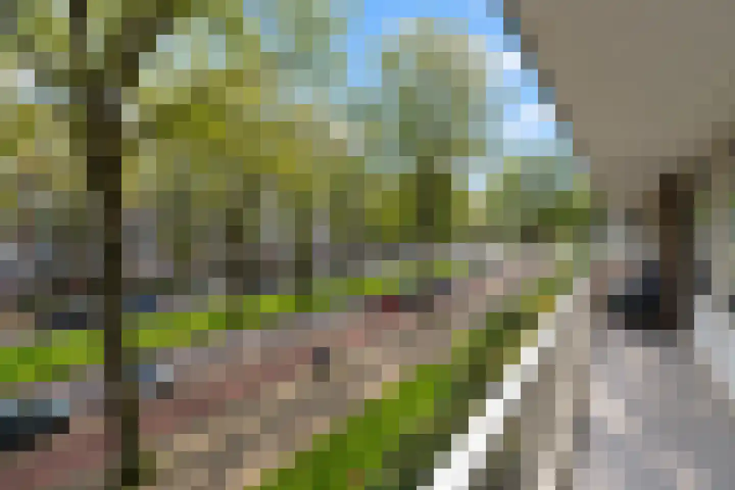 Volendamlaan 811 Den Haag thumbnail 36
