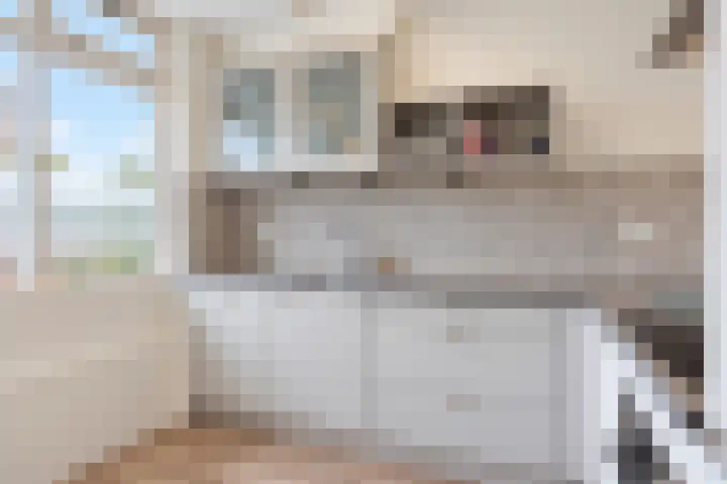 Volendamlaan 811 Den Haag thumbnail 5