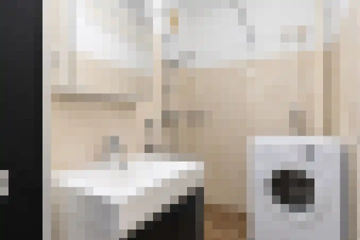 Volendamlaan 811 Den Haag thumbnail 8