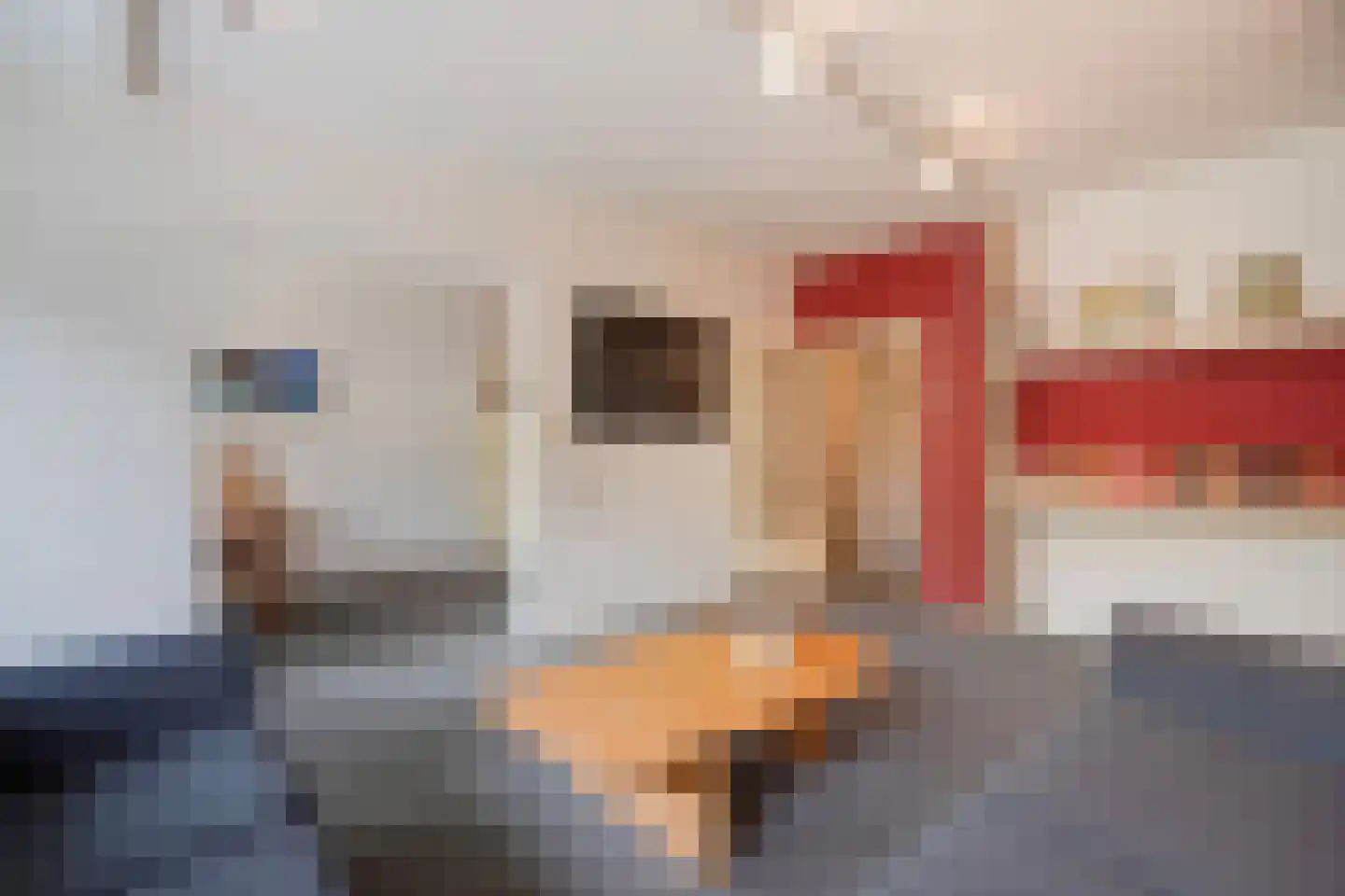Volendamlaan 821 Den Haag thumbnail 35