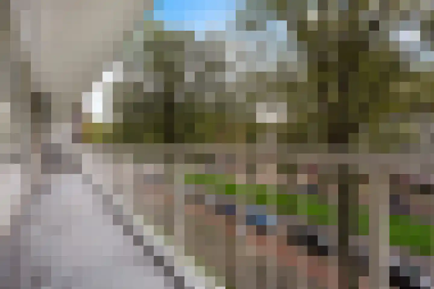 Volendamlaan 821 Den Haag thumbnail 37