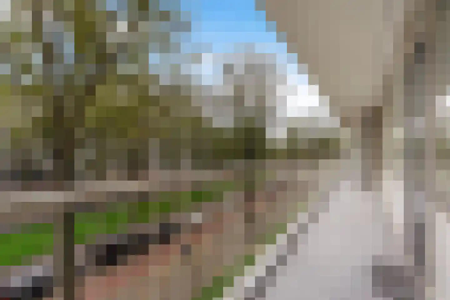 Volendamlaan 821 Den Haag thumbnail 39