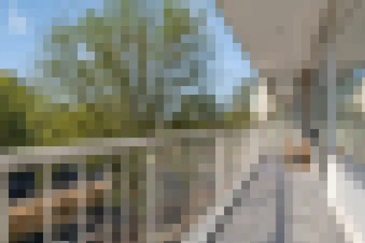 Volendamlaan 845 Den Haag thumbnail 14