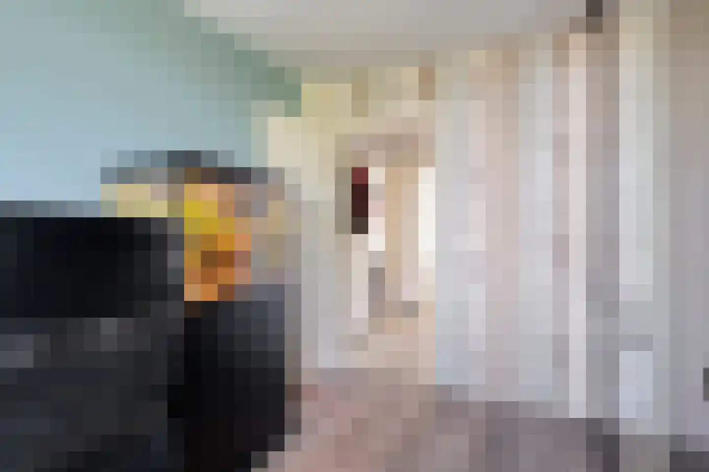 Volendamlaan 845 Den Haag thumbnail 24