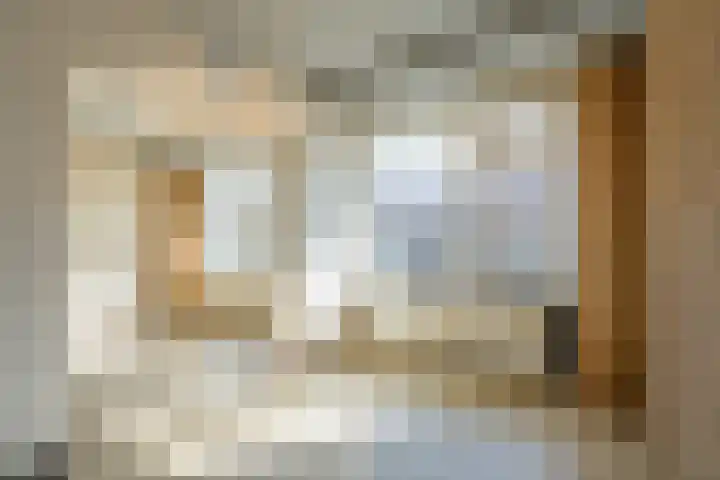 Volendamlaan 855 Den Haag thumbnail 12