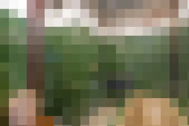 Volendamlaan 855 Den Haag thumbnail 17