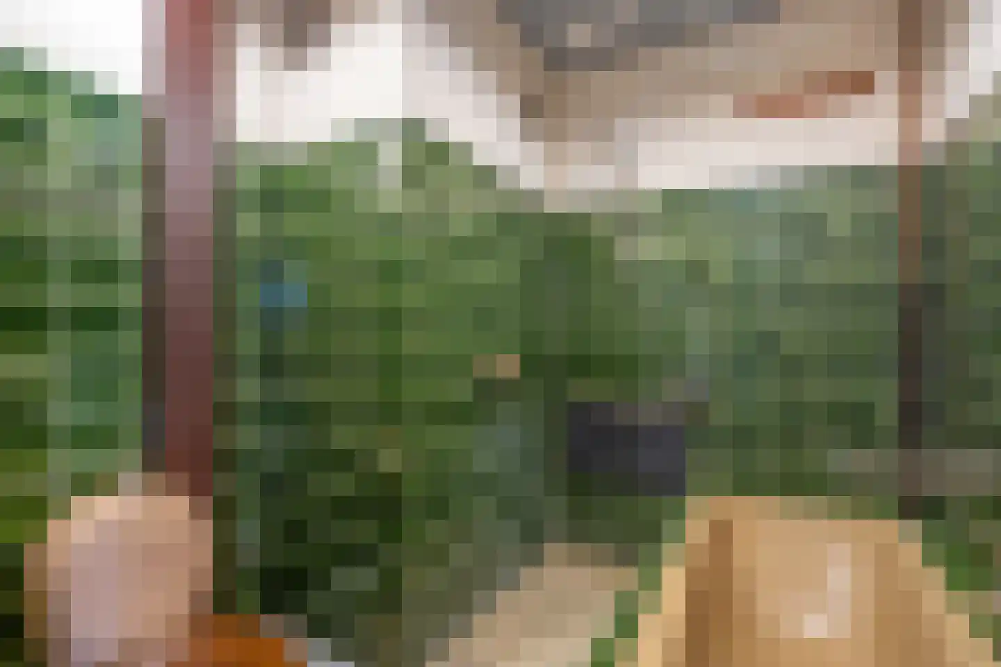 Volendamlaan 855 Den Haag thumbnail 17