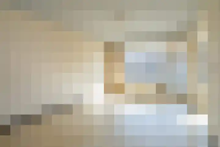 Volendamlaan 855 Den Haag thumbnail 6