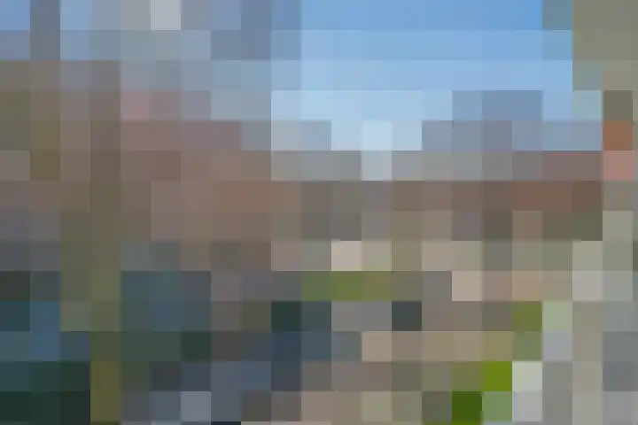 Volendamlaan 855 Den Haag thumbnail 9