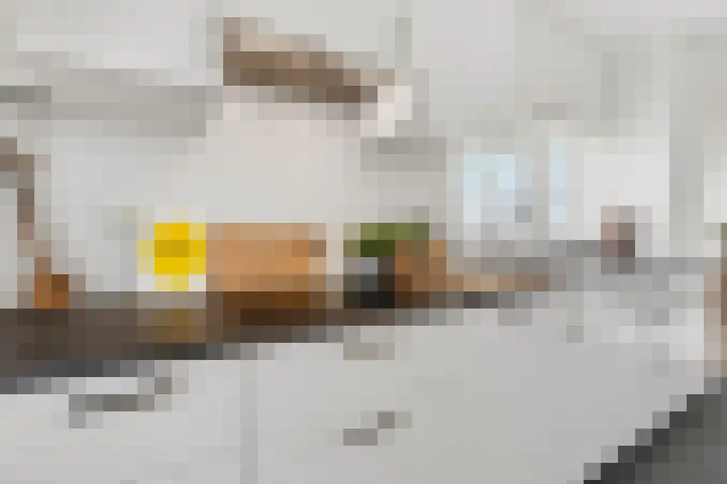 Volendamlaan 868 Den Haag thumbnail 11