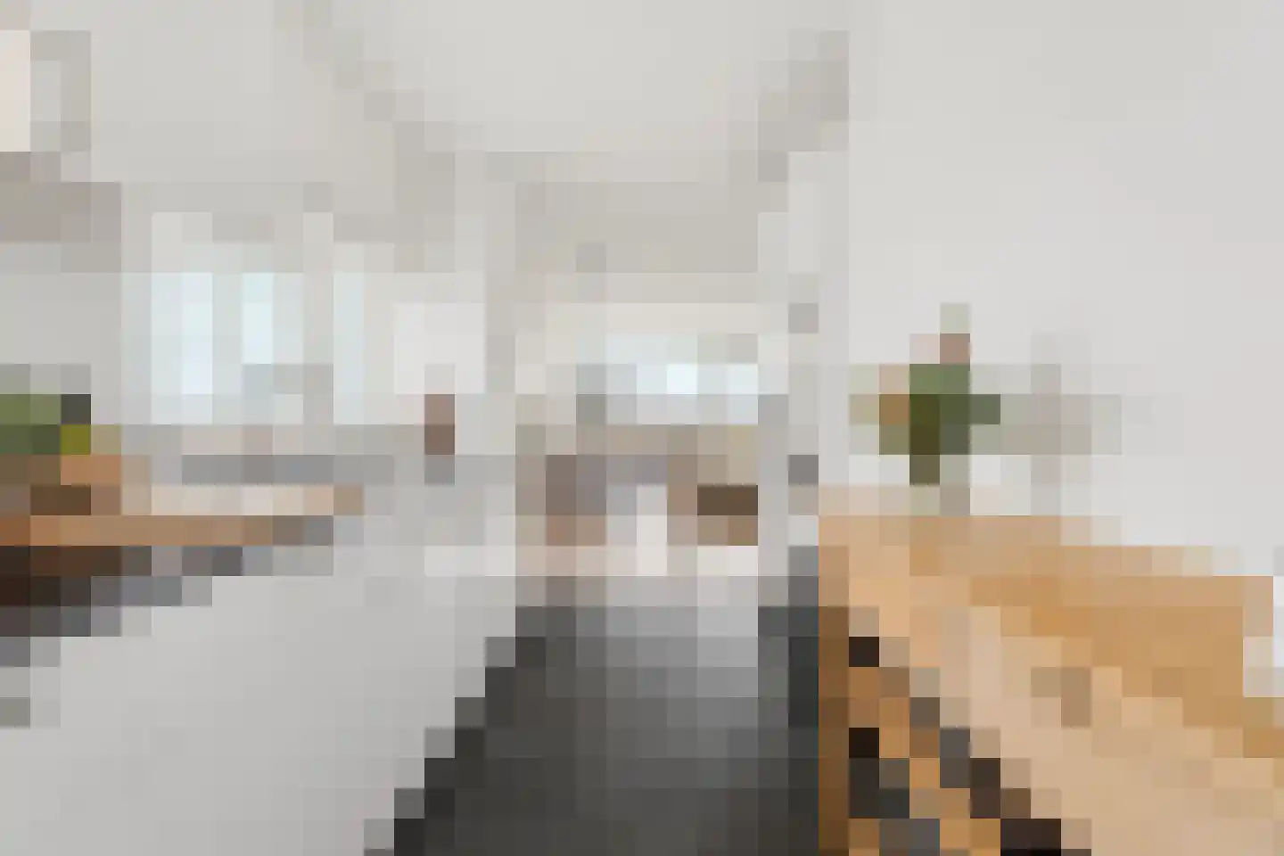 Volendamlaan 868 Den Haag thumbnail 12