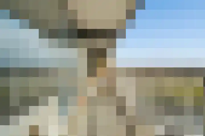 Volendamlaan 868 Den Haag thumbnail 16