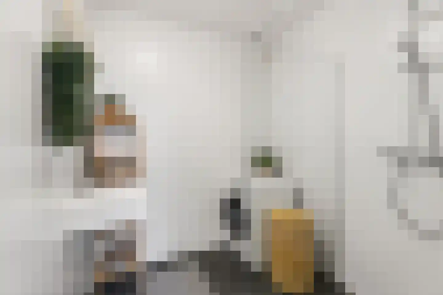 Volendamlaan 868 Den Haag thumbnail 18