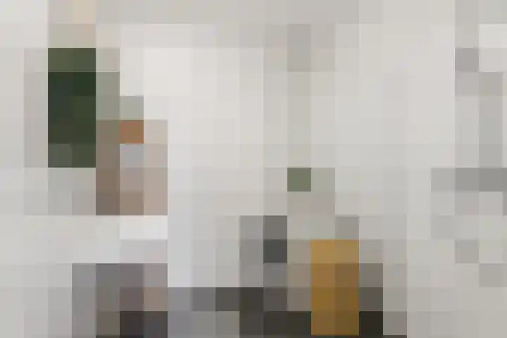 Volendamlaan 868 Den Haag thumbnail 18