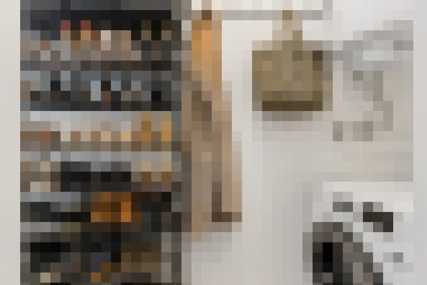 Volendamlaan 868 Den Haag thumbnail 6