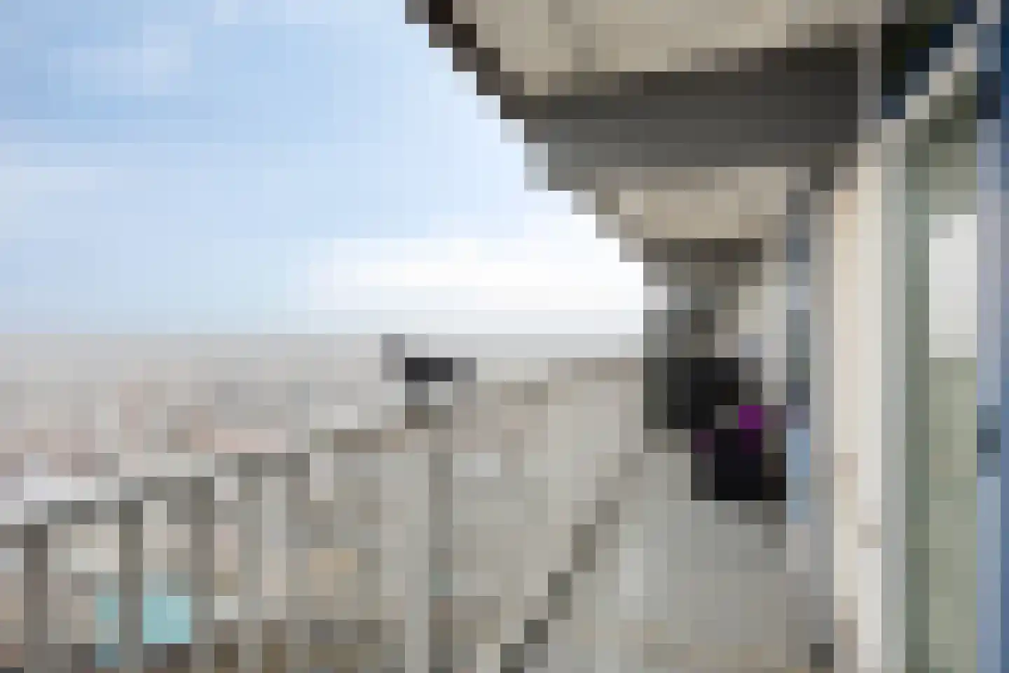 Volendamlaan 872 Den Haag thumbnail 4