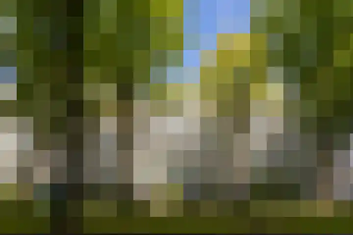 Volendamlaan 873 Den Haag thumbnail 5