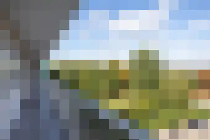 Volendamlaan 873 Den Haag thumbnail 8