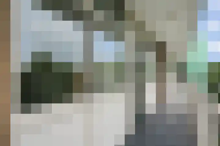 Volendamlaan 879 Den Haag thumbnail 10