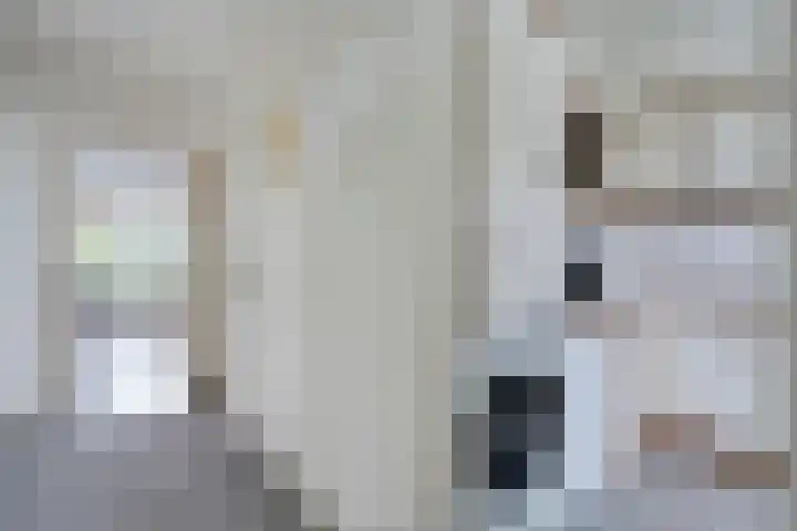 Volendamlaan 879 Den Haag thumbnail 14