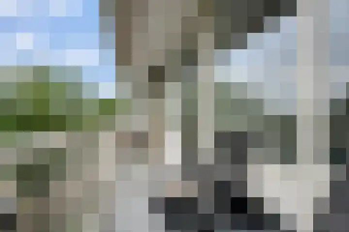 Volendamlaan 879 Den Haag thumbnail 21