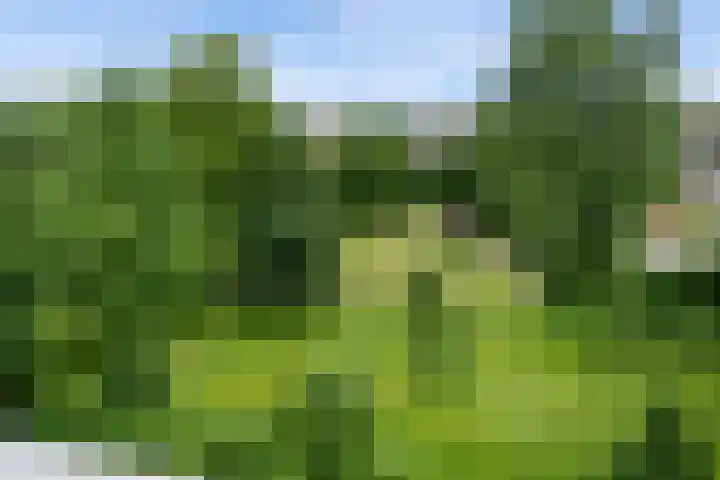 Volendamlaan 879 Den Haag thumbnail 22