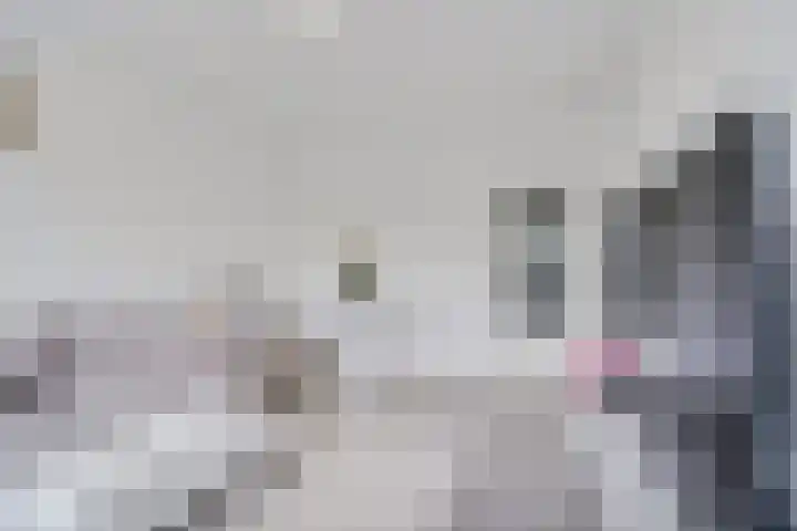 Volendamlaan 879 Den Haag thumbnail 23