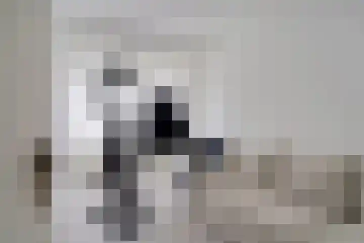 Volendamlaan 879 Den Haag thumbnail 33