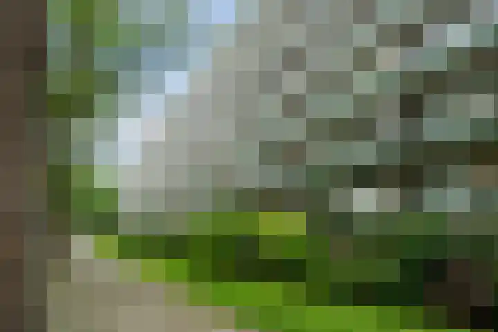 Volendamlaan 879 Den Haag thumbnail 6