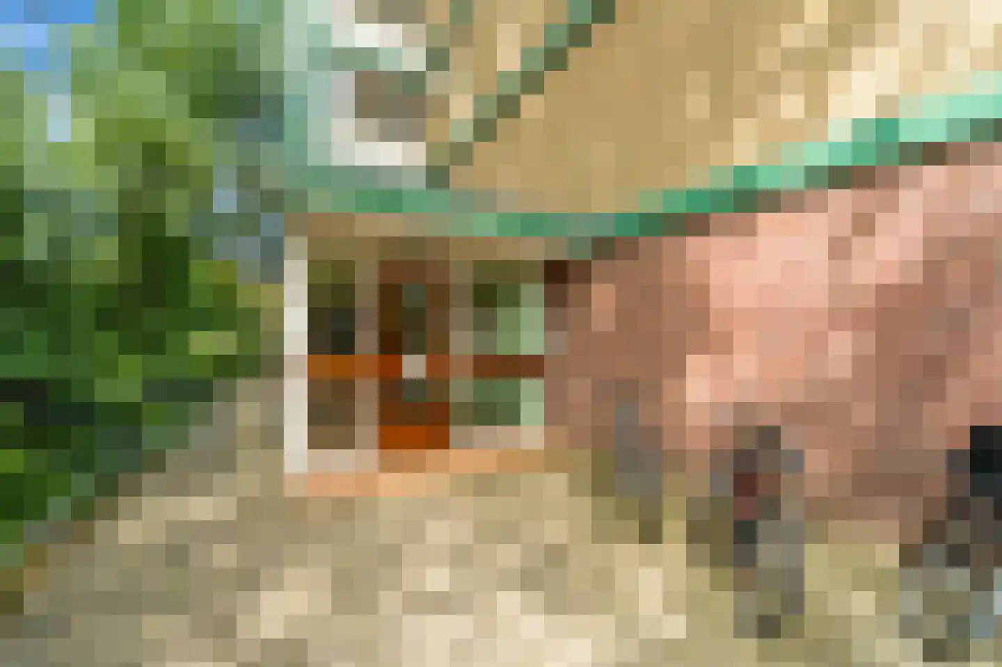 Volendamlaan 885 Den Haag thumbnail 5