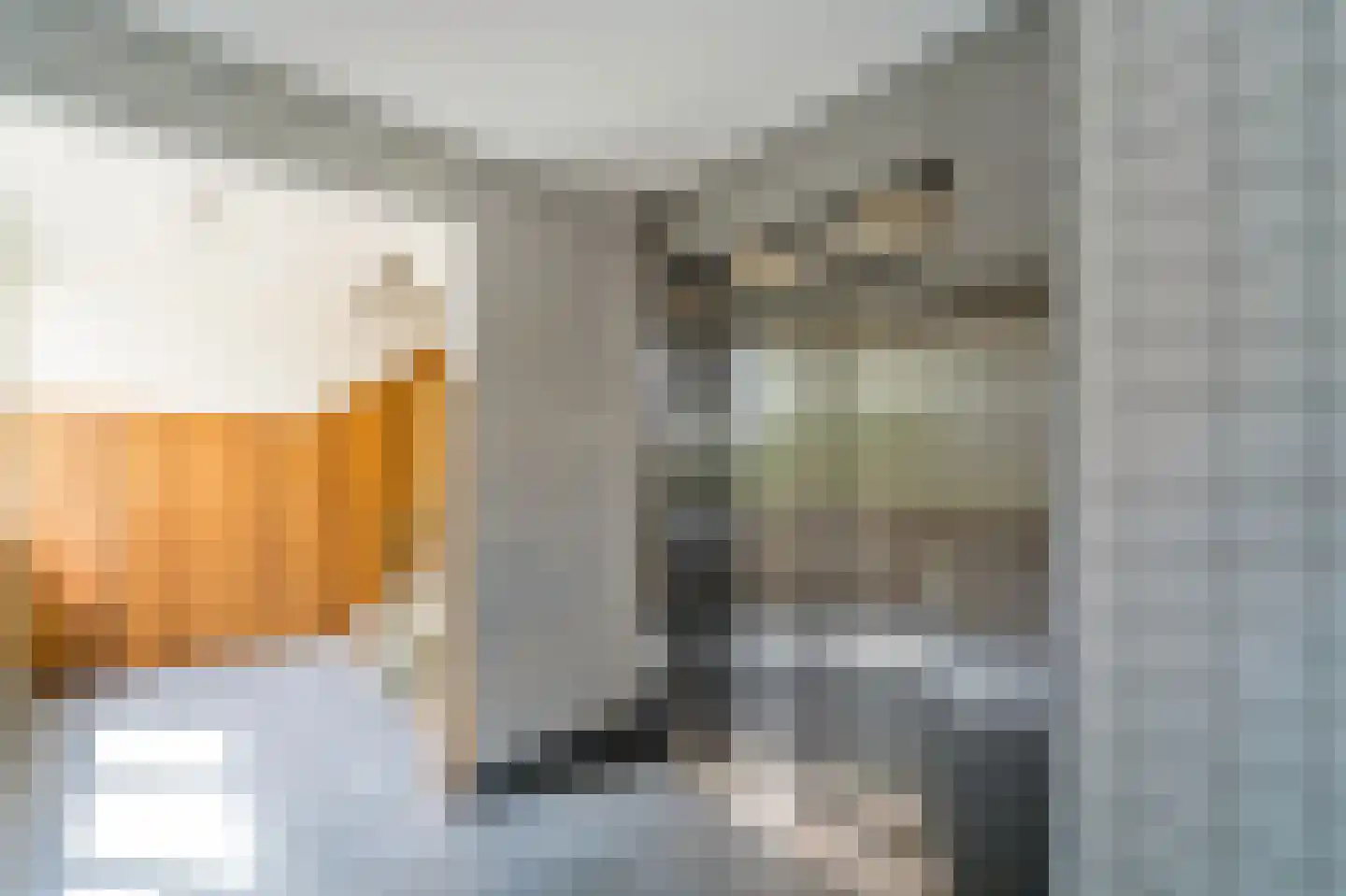Volendamlaan 885 Den Haag thumbnail 6