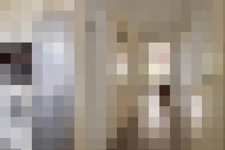 Volendamlaan 899 Den Haag thumbnail 14