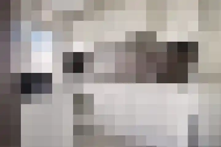 Volendamlaan 899 Den Haag thumbnail 15