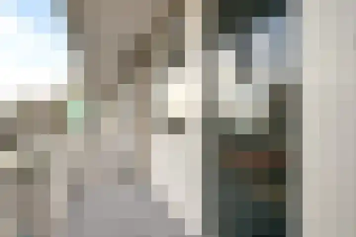 Volendamlaan 899 Den Haag thumbnail 17