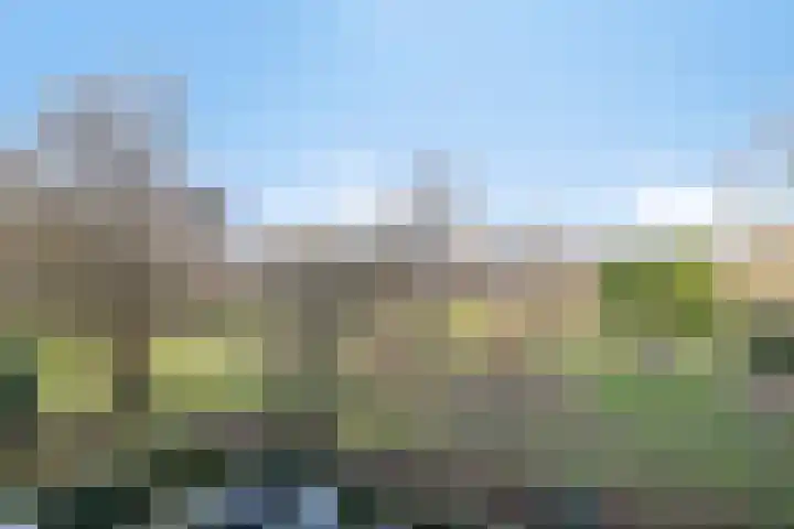 Volendamlaan 899 Den Haag thumbnail 18