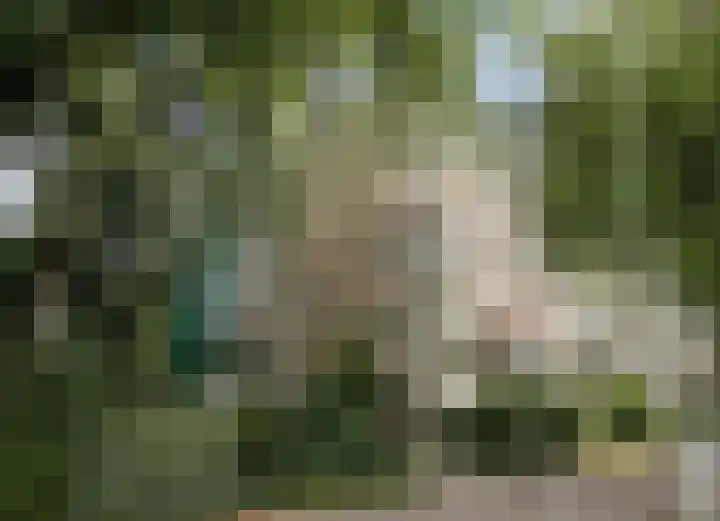 Volendamlaan 899 Den Haag thumbnail 23