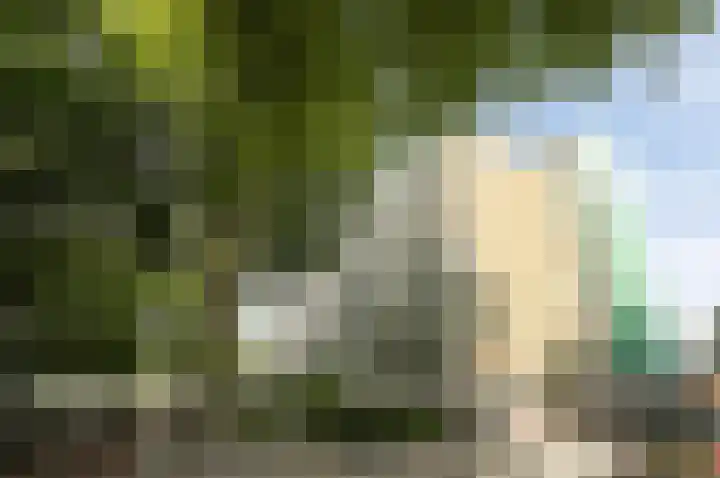 Volendamlaan 899 Den Haag thumbnail 26