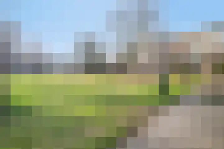 Volendamlaan 899 Den Haag thumbnail 29